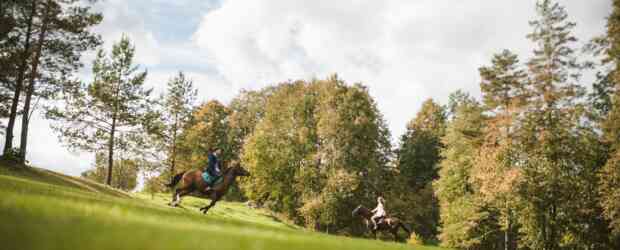 O&D vestuvės gamtoje.